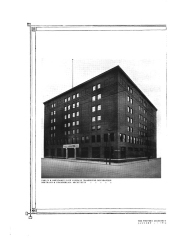 Plate 1