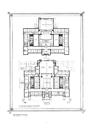 Plate 1