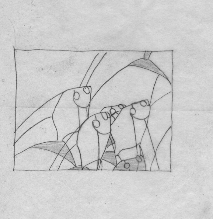 Leaded glass diagram
House for George W. Stricker, alterations
circa 1915